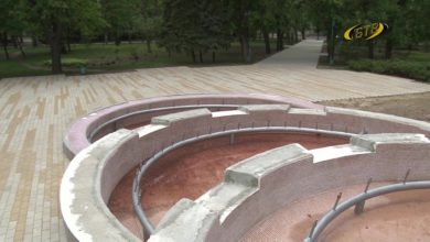 Photo of На прогулку – в парк