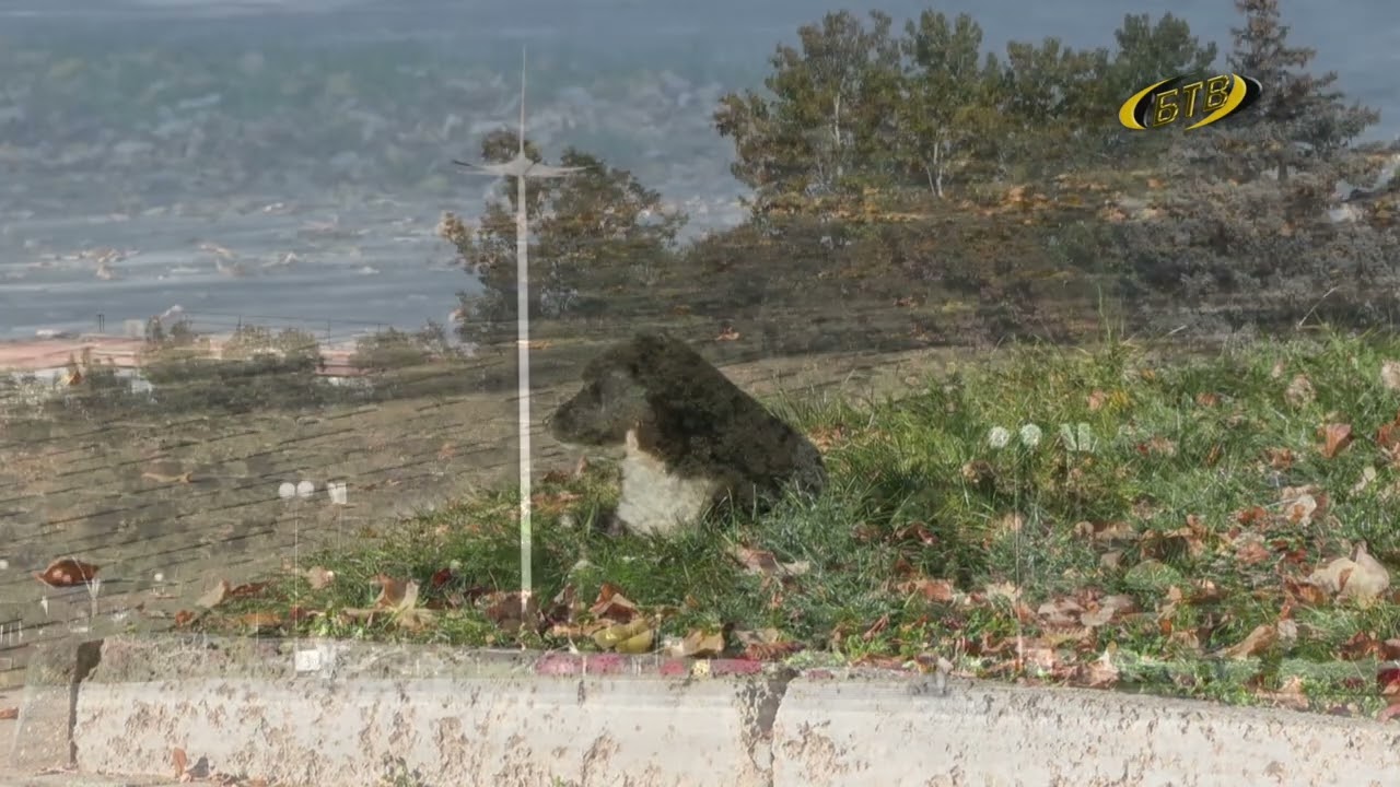 Photo of Осенний вернисаж