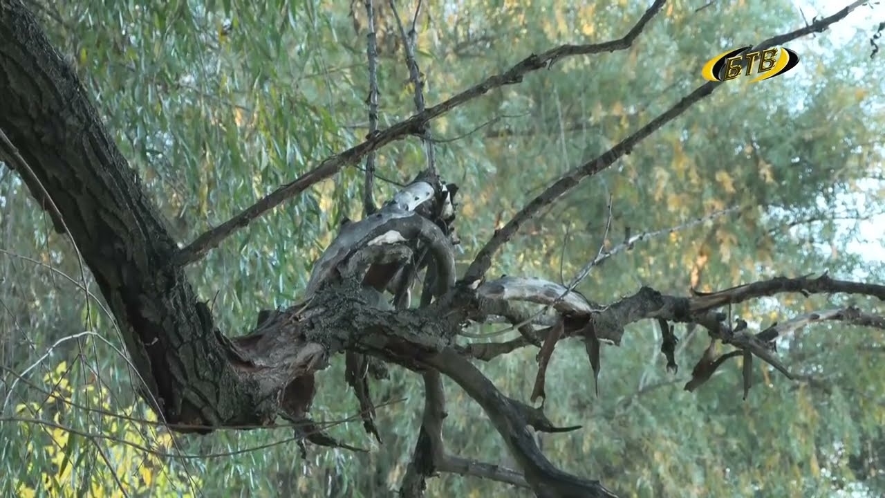 Photo of Чтобы зимой было тепло