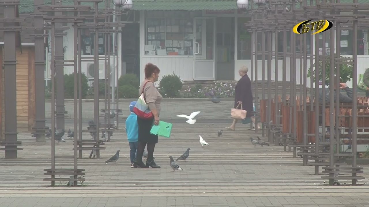 Photo of По данным ЦИК