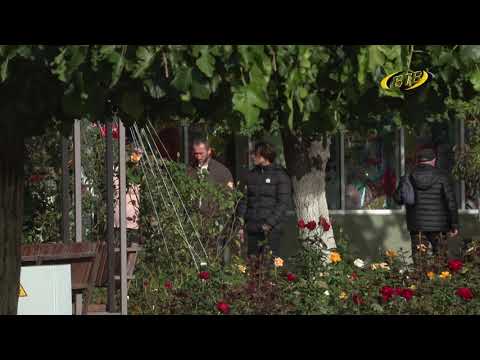 Photo of Выборы: первый этап