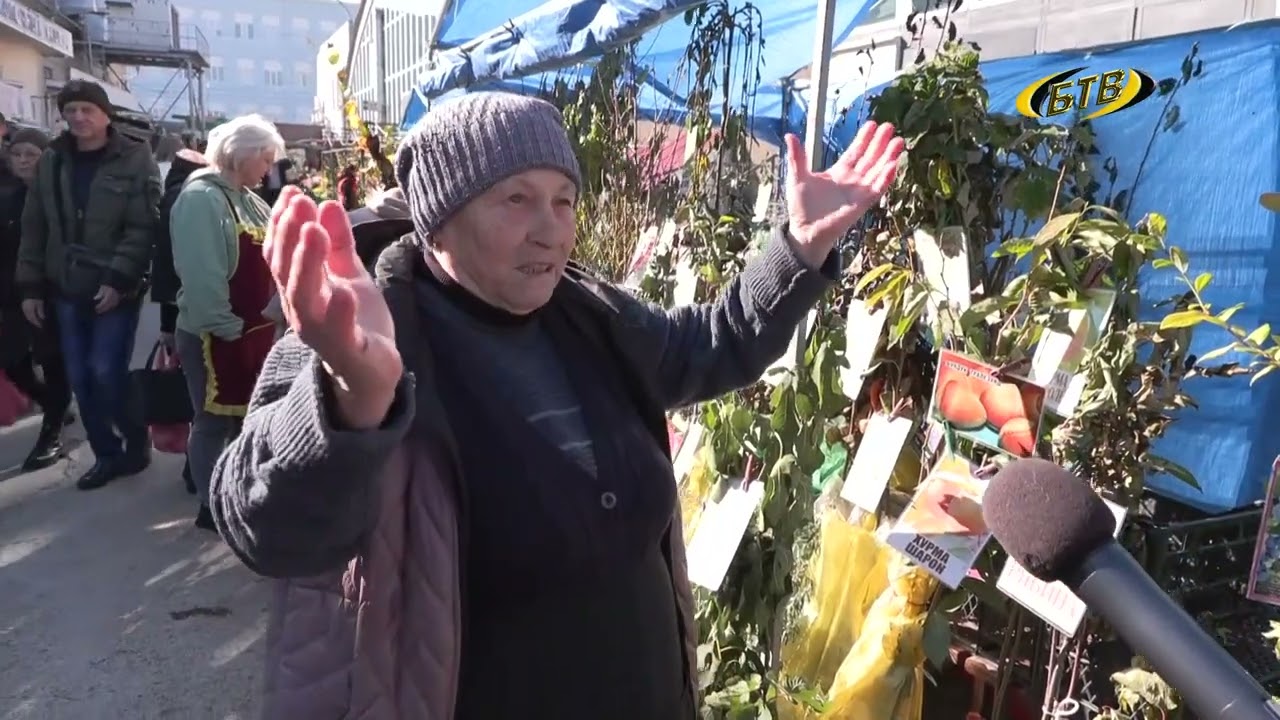 Photo of Климат и экзотика