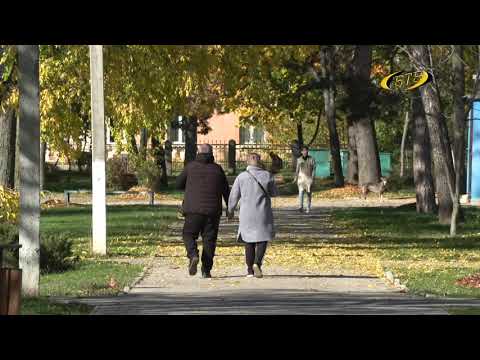 Photo of Очарование осенних Бендер