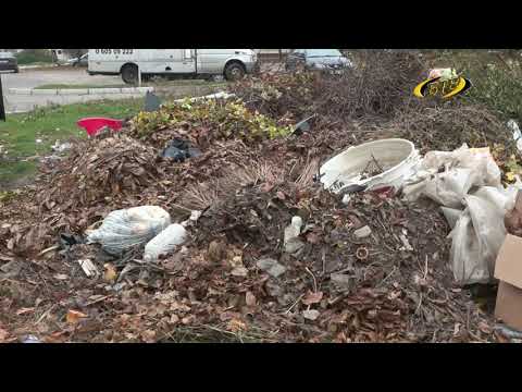 Photo of Осенний листопад и… мусор