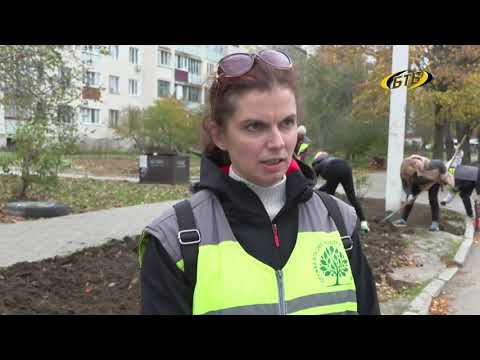 Photo of Зелёная волна осени