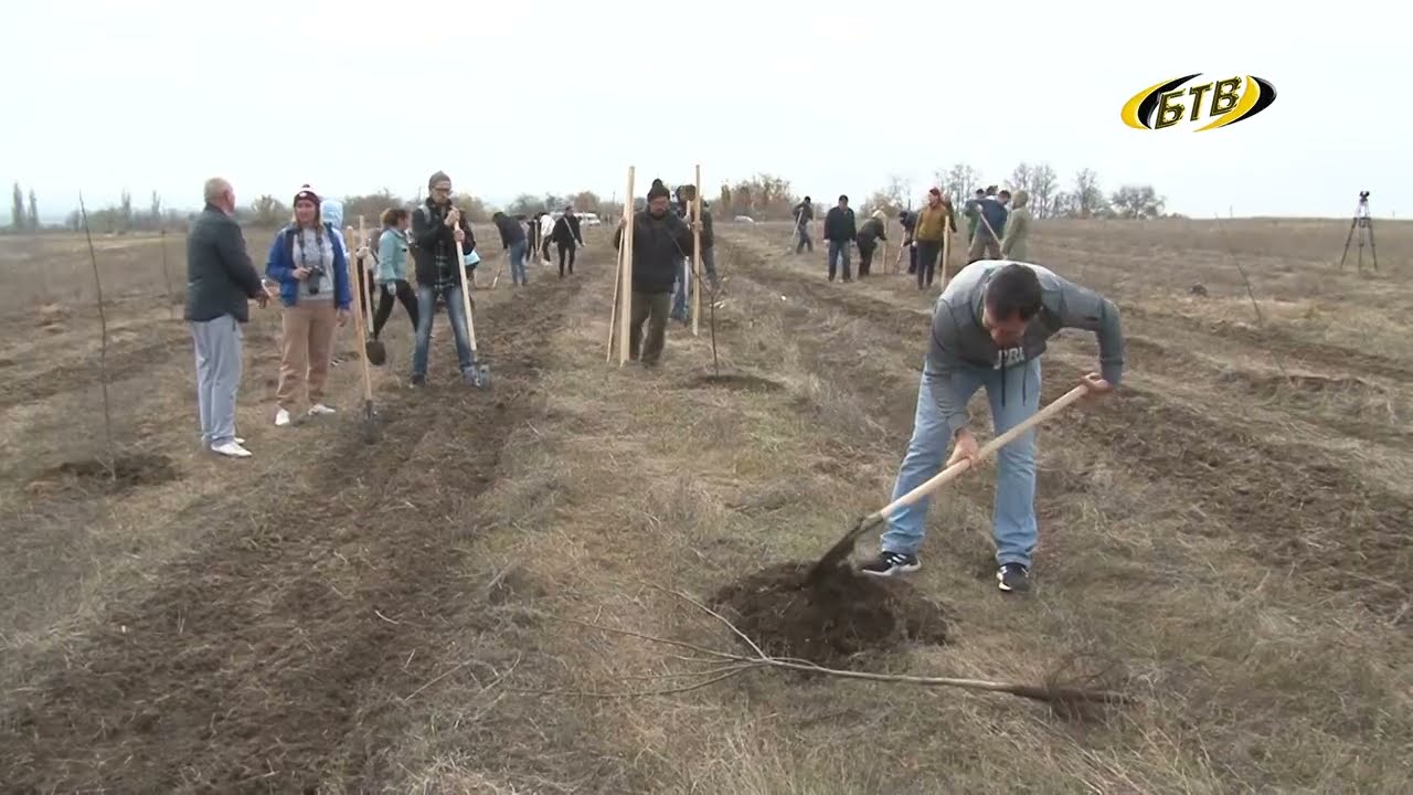 Photo of Итоги и планы