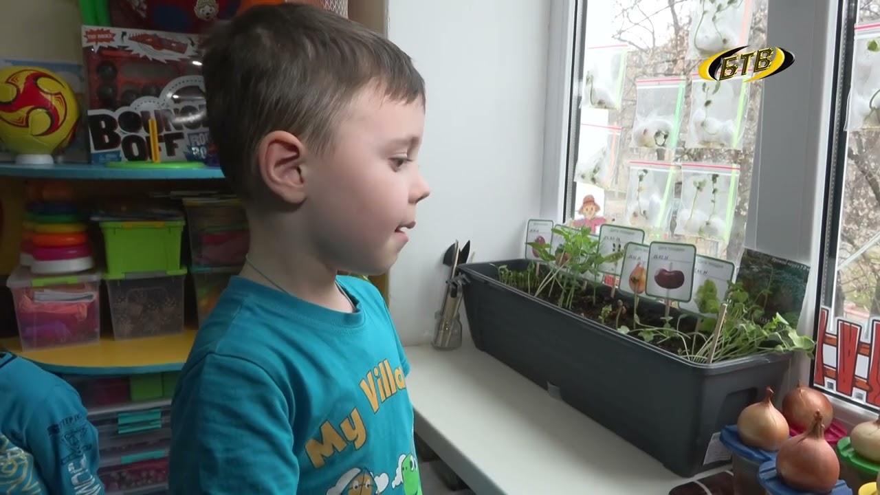 Photo of Весна на подоконнике растёт вместе с дошколятами