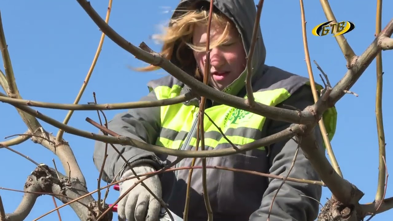 Photo of Зеленый сезон стартовал