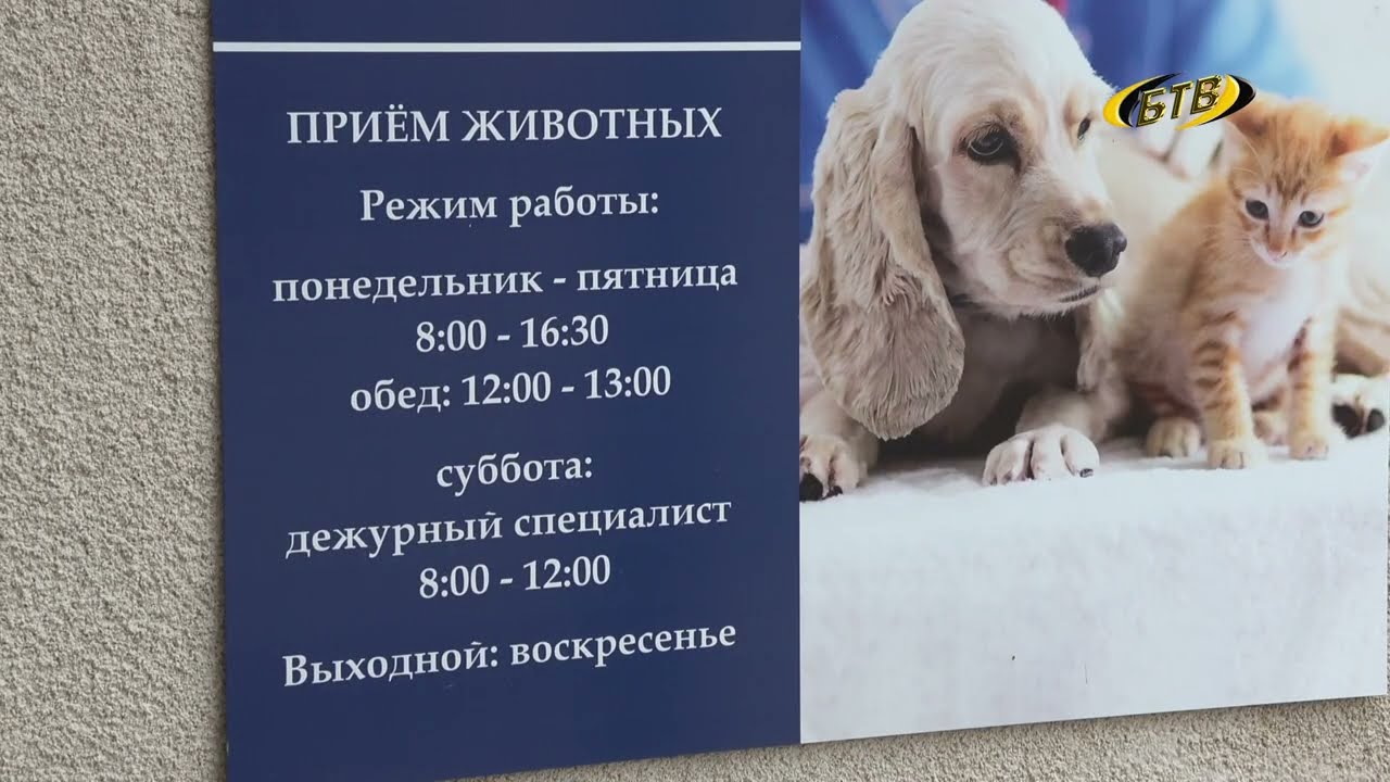 Photo of Профилактический месячник