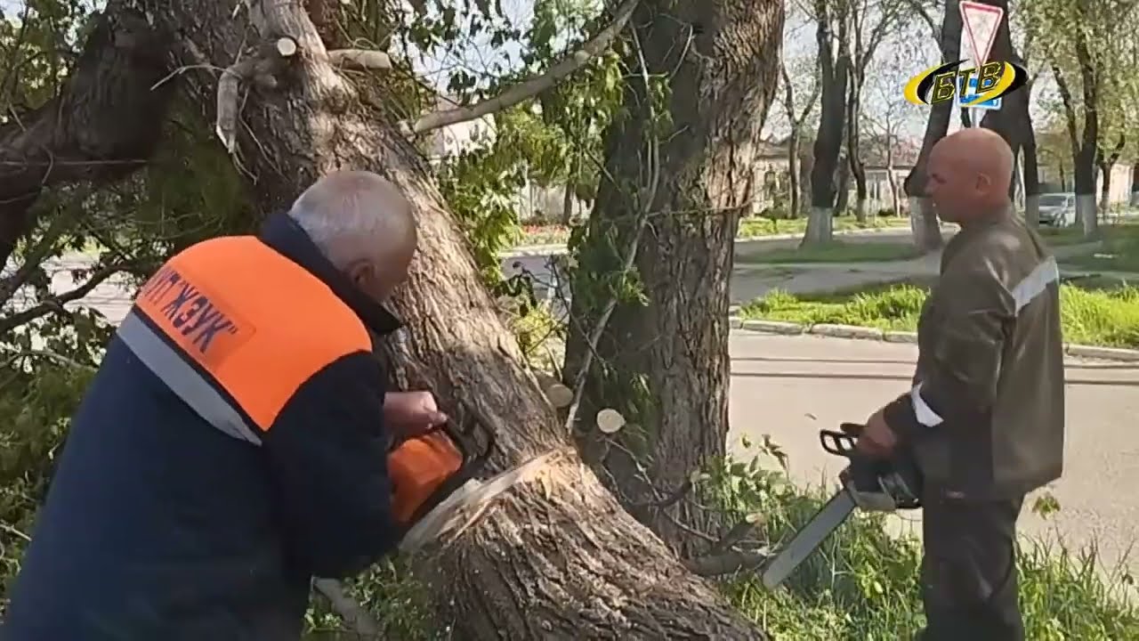 Photo of Сила стихии