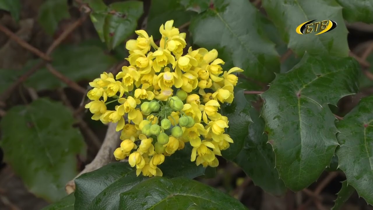 Photo of Впереди – весеннее тепло